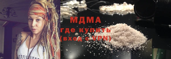 индика Каменка