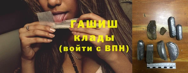 индика Каменка
