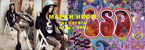 индика Каменка