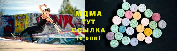 индика Каменка