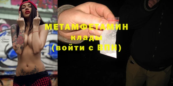 индика Каменка