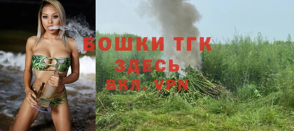 индика Каменка