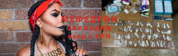 индика Каменка
