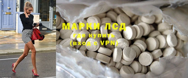индика Каменка