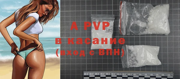 индика Каменка