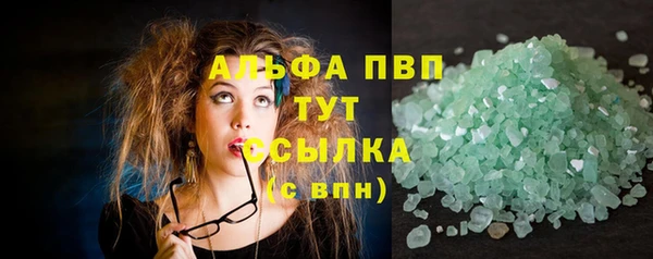 индика Каменка