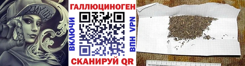 Купить где  Дзержинский  Галлюциногенные грибы Psilocybe 