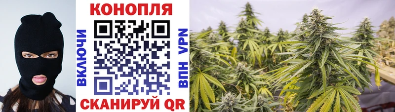 Купить где  Дзержинский  Каннабис Ganja 